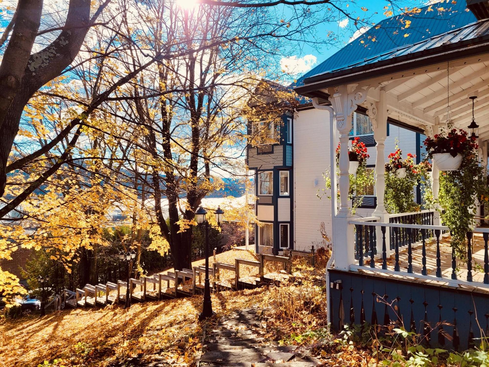 Auberge Sous Les Arbres Gaspé Eksteriør billede