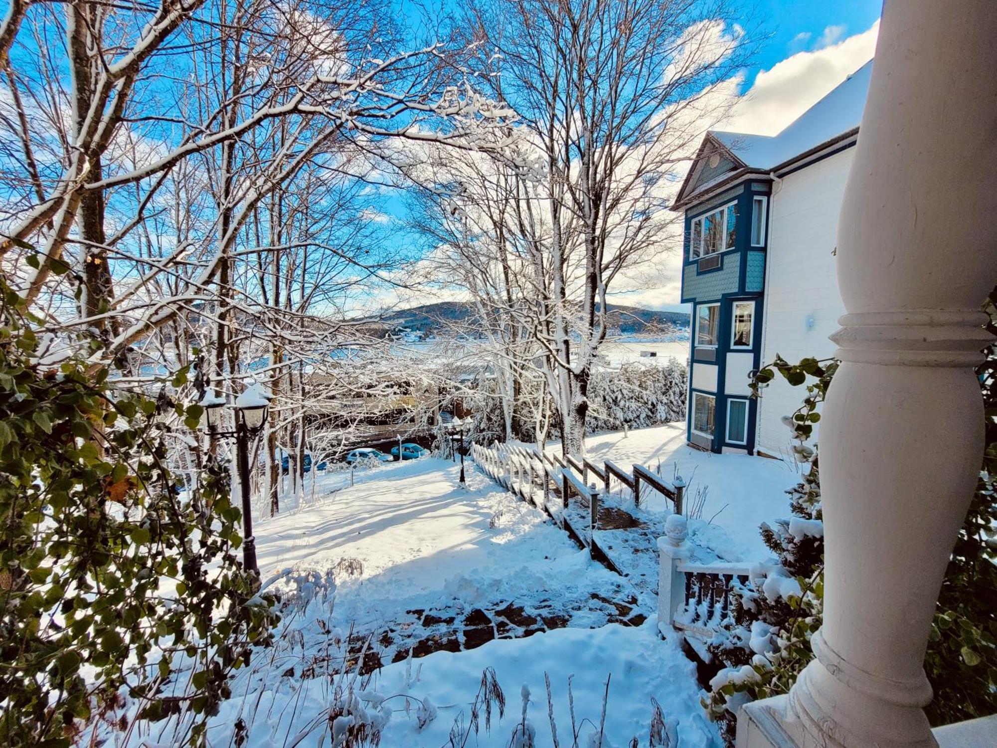 Auberge Sous Les Arbres Gaspé Eksteriør billede